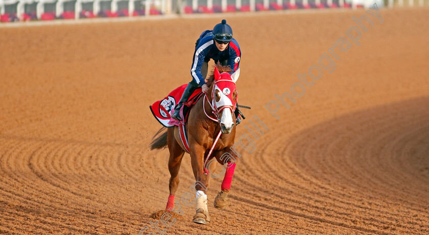 Justin-0001 
 JUSTIN training for The Riyadh Dirt Sprint
King Abdulaziz Racecourse, Kingdom of Saudi Arabia, 22 Feb 2023 - Pic Steven Cargill / Racingfotos.com