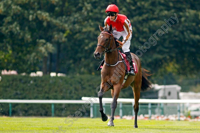 Good-Gracious-0001 
 GOOD GRACIOUS (Daniel Tudhope)
Haydock 2 Sep 2022 - Pic Steven Cargill / Racingfotos.com