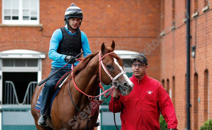 Bucchero-0002 
 American trained BUCCHERO with trainer Tim Glyshaw in Newmarket ahead of his Royal Ascot challenge
Newmarket 14 Jun 2018 - Pic Steven Cargill / Racingfotos.com