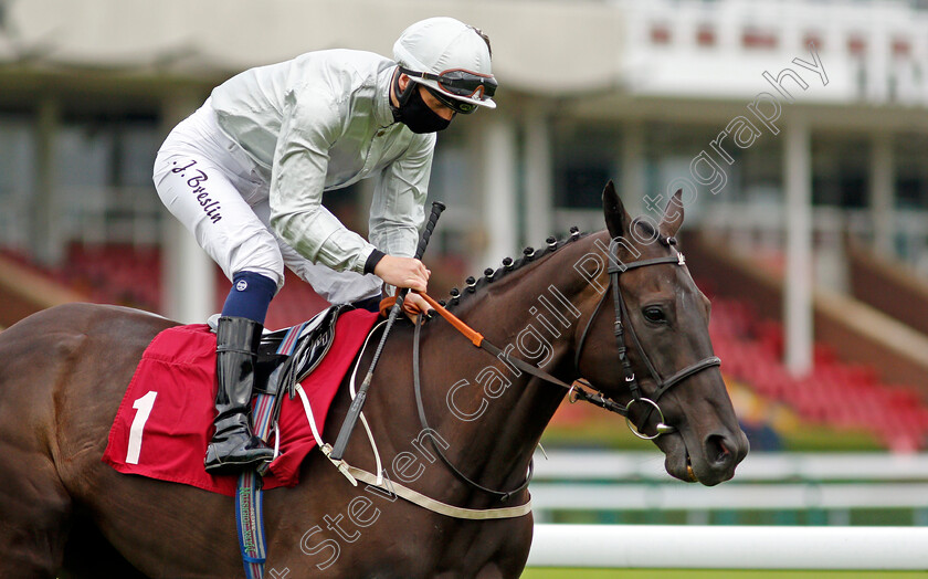 Hochfeld-0002 
 HOCHFELD (Andrew Breslin)
Haydock 3 Sep 2020 - Pic Steven Cargill / Racingfotos.com