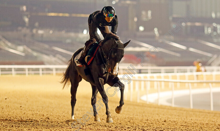 Equinox-0001 
 EQUINOX training for the Sheema Classic
Meydan, Dubai, 21 Mar 2023 - Pic Steven Cargill / Racingfotos.com