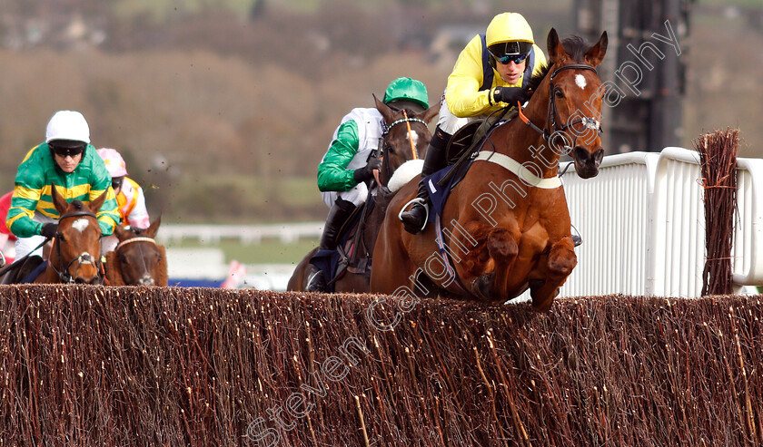 Lostintranslation-0003 
 LOSTINTRANSLATION (Robbie Power)
Cheltenham 14 Mar 2019 - Pic Steven Cargill / Racingfotos.com