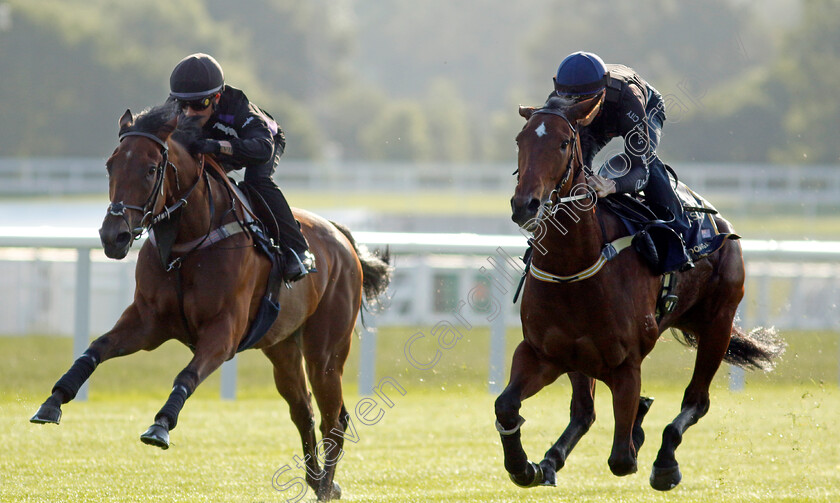 Coolangatta-0010 
 COOLANGATTA (right, James McDonald) preparing for Royal Ascot
Ascot 14 Jun 2023 - Pic Steven Cargill / Racingfotos.com