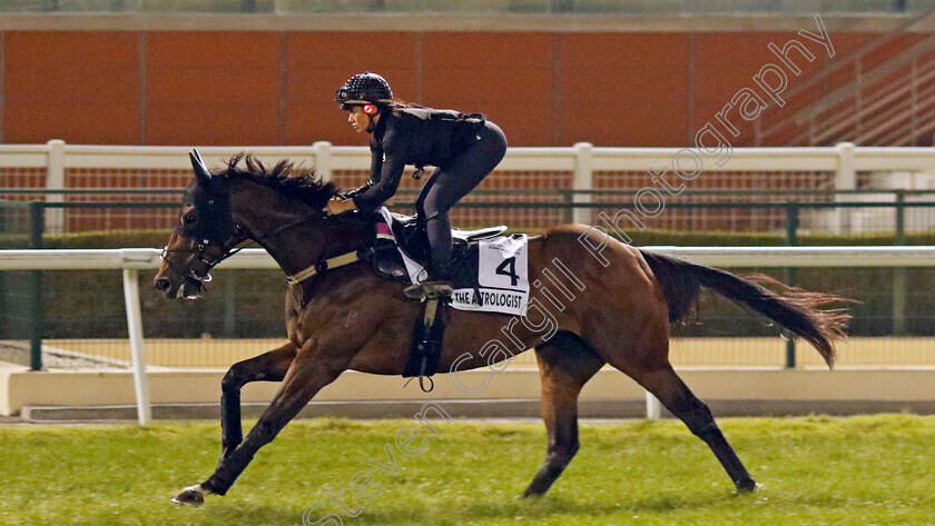 The-Astrologist-0001 
 THE ASTROLOGIST training for the Al Quoz Sprint
Meydan, Dubai, 21 Mar 2023 - Pic Steven Cargill / Racingfotos.com