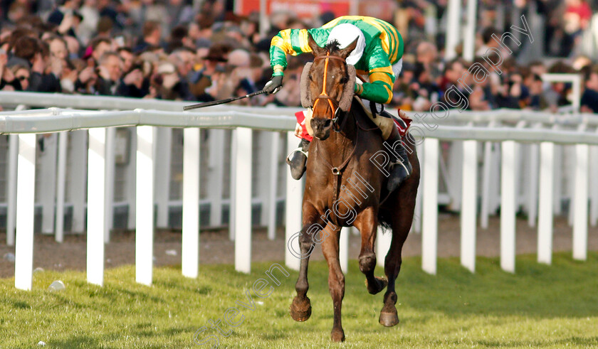 Easysland-0002 
 EASYSLAND (Jonathan Plouganou) wins The Glenfarclas Cross Country Chase
Cheltenham 11 Mar 2020 - Pic Steven Cargill / Racingfotos.com