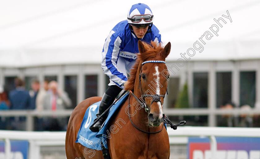 Fantastic-Fox-0001 
 FANTASTIC FOX (Aidan Keeley)
Epsom 31 May 2024 - Pic Steven Cargill / Racingfotos.com