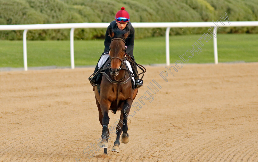 Trevaunance-0003 
 TREVAUNANCE training at the Dubai Racing Carnival
Meydan 1 Mar 2024 - Pic Steven Cargill / Racingfotos.com