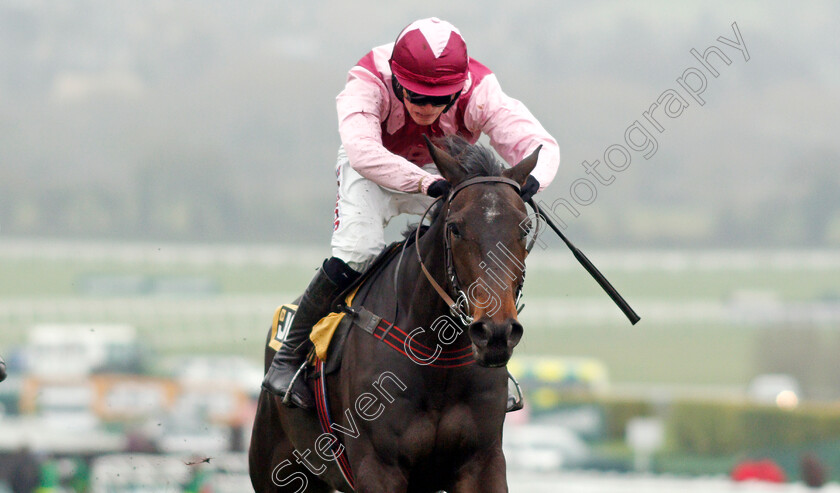 Galahad-Quest-0005 
 GALAHAD QUEST (Harry Cobden) wins The JCB Triumph Trial Juvenile Hurdle
Cheltenham 25 Jan 2020 - Pic Steven Cargill / Racingfotos.com