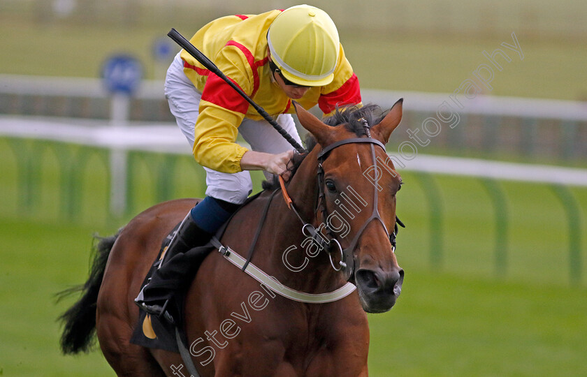 Divina-Grace-0001 
 DIVINA GRACE (Callum Shepherd) wins The Graham Budd Art & Memorabilia Auction Handicap
Newmarket 28 Sep 2023 - Pic Steven Cargill / Racingfotos.com