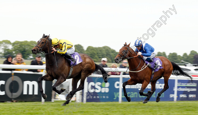 Kodiac-Pride-0003 
 KODIAC PRIDE (Tom Marquand) beats MAYDANNY (right) in The Skidby Novice Stakes
Beverley 29 May 2019 - Pic Steven Cargill / Racingfotos.com