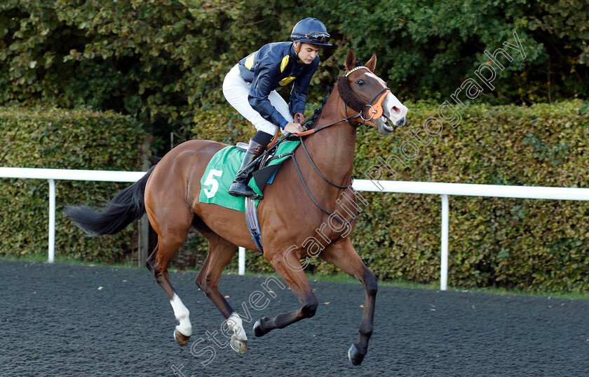 Calling-The-Wind-0001 
 CALLING THE WIND (Ryan Tate)
Kempton 27 Sep 2018 - Pic Steven Cargill / Racingfotos.com