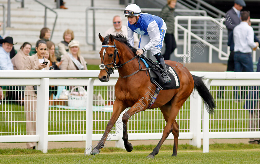 Atherstone-Warrior-0001 
 ATHERSTONE WARRIOR (Kieran O'Neill)
Ascot 1 May 2024 - Pic Steven Cargill / Racingfotos.com