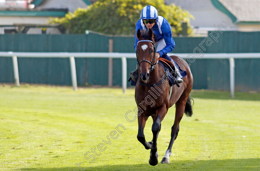 Althaneyah-0002 
 ALTHANEYAH (Jim Crowley)
Yarmouth 18 Sep 2024 - Pic Steven Cargill / Racingfotos.com