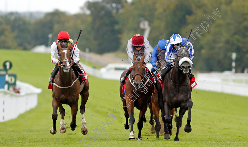 Happy-Power-0004 
 HAPPY POWER (right, Silvestre De Sousa) beats TORO STRIKE (centre) and ESCOBAR (left) in The Ladbrokes Supreme Stakes
Goodwood 30 Aug 2020 - Pic Steven Cargill / Racingfotos.com