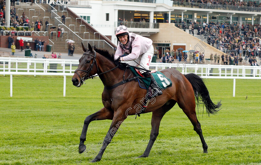 Marcle-Ridge-0009 
 MARCLE RIDGE (Sam Jukes) wins The KTDA Racing Open Hunters Chase
Cheltenham 3 May 2019 - Pic Steven Cargill / Racingfotos.com