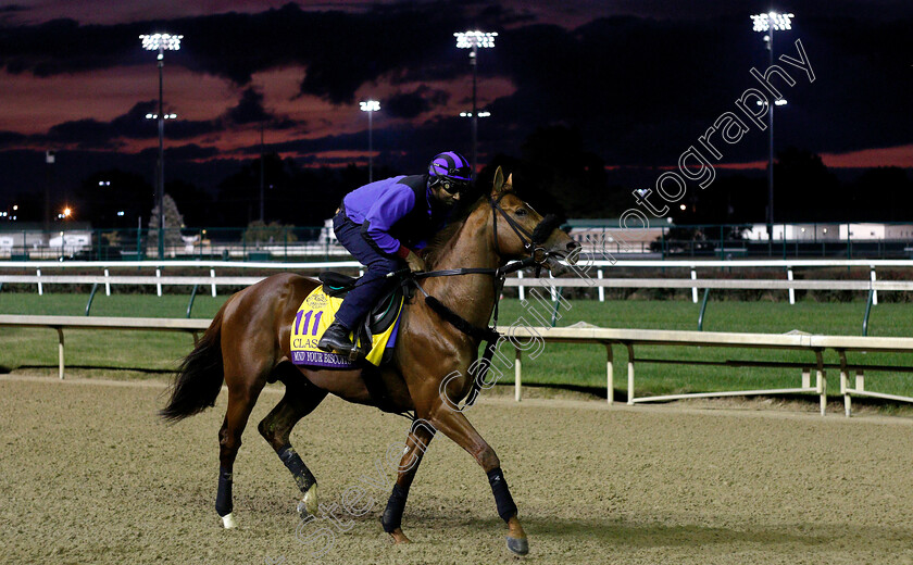 Mind-Your-Biscuits-0001 
 MIND YOUR BISCUITS exercising ahead of The Breeders' Cup Classic
Churchill Downs USA 31 Oct 2018 - Pic Steven Cargill / Racingfotos.com