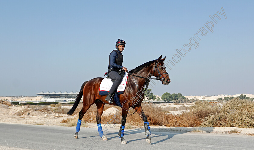 Global-Giant-0005 
 GLOBAL GIANT training for the Bahrain International Trophy
Rashid Equestrian & Horseracing Club, Bahrain, 19 Nov 2020 - Pic Steven Cargill / Racingfotos.com