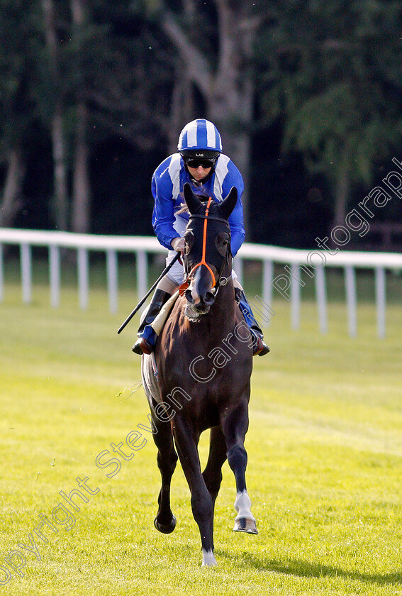 Raabeh-0001 
 RAABEH (Martin Dwyer)
Salisbury 11 Jul 2020 - Pic Steven Cargill / Racingfotos.com