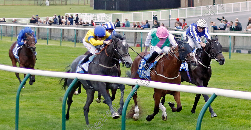 Sumo-Sam-0004 
 SUMO SAM (left, Rossa Ryan) beats SILVRETTA (centre) and GAREEB (right) in The Godolphin Under Starters Orders Maiden Fillies Stakes Div2
Newmarket 7 Oct 2022 - Pic Steven Cargill / Racingfotos.com