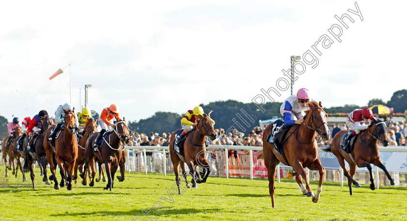 Nigiri-0006 
 NIGIRI (Hector Crouch) wins The British EBF 40th Anniversary Fillies Handicap
York 24 Aug 2023 - Pic Steven Cargill / Racingfotos.com