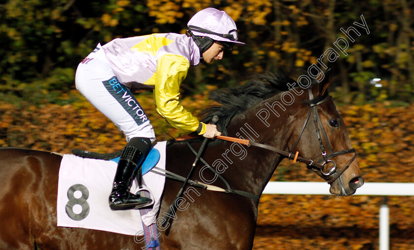 Arietta-0001 
 ARIETTA (Nicola Currie)
Kempton 20 Nov 2019 - Pic Steven Cargill / Racingfotos.com