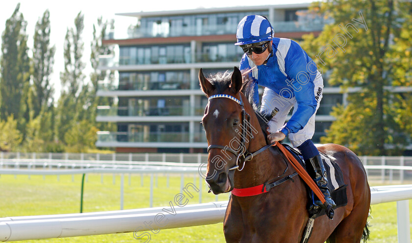 Raatea-0002 
 RAATEA (Jim Crowley)
Newbury 20 Sep 2019 - Pic Steven Cargill / Racingfotos.com