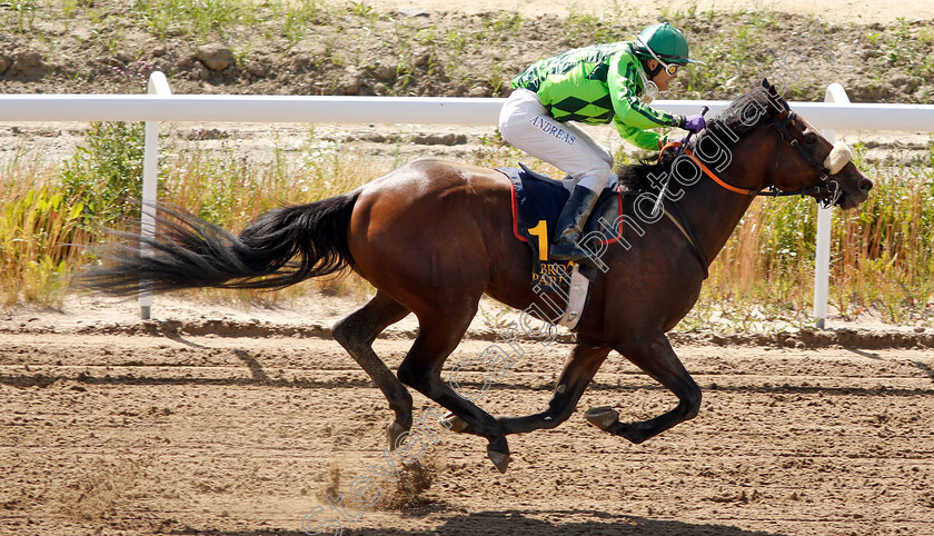 Realize-Rock-0007 
 REALIZE ROCK (Andreas Tapia Dalbark) wins The Tabergs Bro Park Trial
Bro Park Sweden 30 Jun 2019 - Pic Steven Cargill / Racingfotos.com