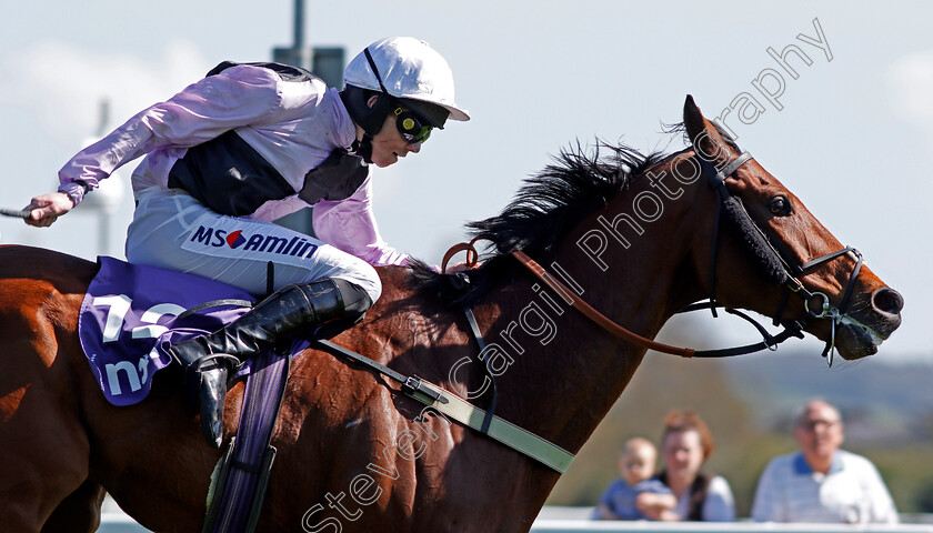 Traffic-Fluide-0004 
 TRAFFIC FLUIDE (Joshua Moore) wins The Barchester Healthcare Silver Trophy Chase Cheltenham 18 Apr 2018 - Pic Steven Cargill / Racingfotos.com