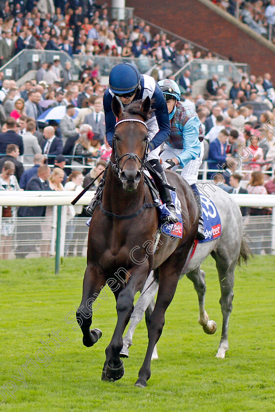 Imperial-Sun-0001 
 IMPERIAL SUN (Robert Havlin)
York 21 Aug 2021 - Pic Steven Cargill / Racingfotos.com