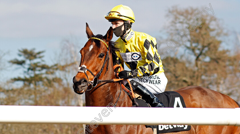 Ornate-0001 
 ORNATE (Phil Dennis)
Lingfield 27 Feb 2021 - Pic Steven Cargill / Racingfotos.com