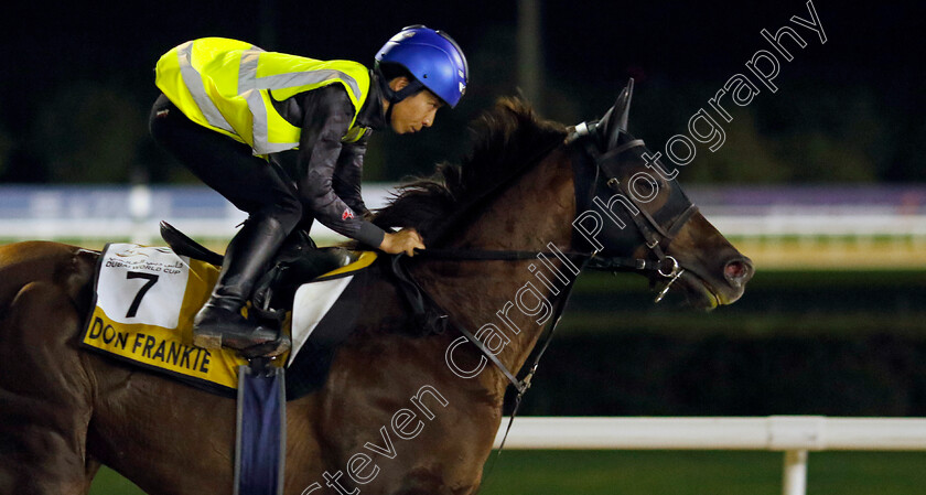 Don-Frankie-0001 
 DON FRANKIE training for The Golden Shaheen
Meydan Dubai 27 Mar 2024 - Pic Steven Cargill / Racingfotos.com