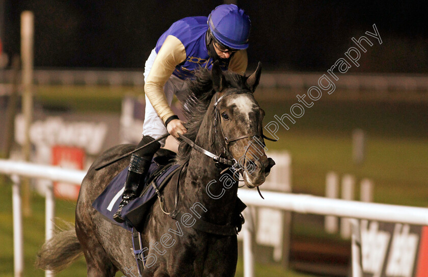 Album-0009 
 ALBUM (Richard Kingscote) wins The Play 4 To Score At Betway Handicap
Wolverhampton 4 Jan 2021 - Pic Steven Cargill / Racingfotos.com