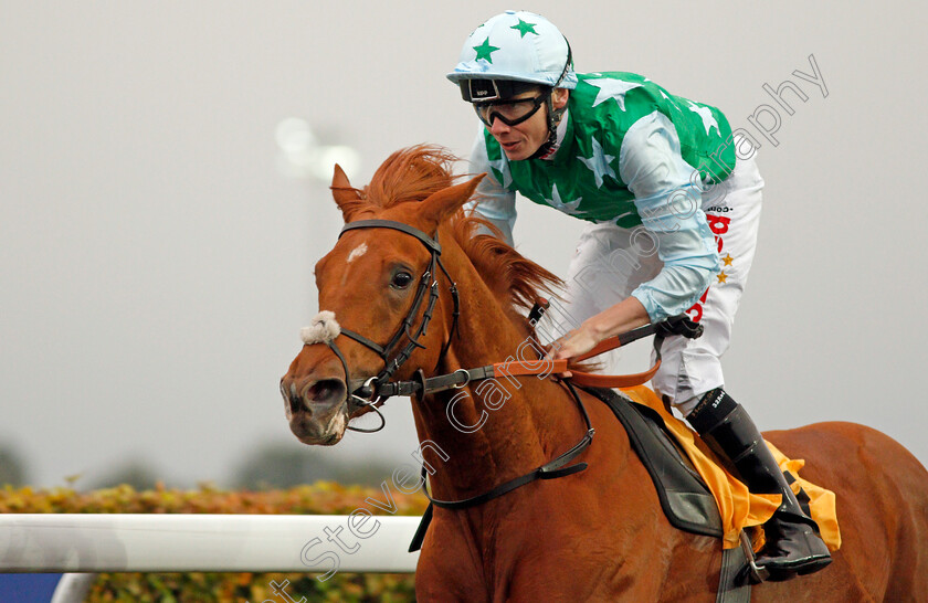 Glendevon-0013 
 GLENDEVON (Jamie Spencer) wins The 32Red British Stallion Studs EBF Novice Stakes Kempton 11 Oct 2017 - Pic Steven Cargill / Racingfotos.com