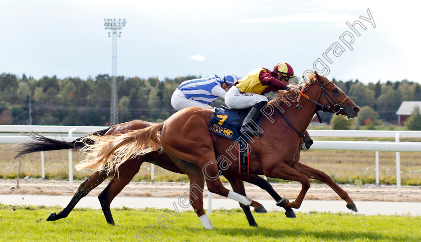 Red-Cactus-0005 
 RED CACTUS (Elione Chaves) wins The Timeform Svealandlopning
Bro Park, Sweden 23 Sep 2018 - Pic Steven Cargill / Racingfotos.com