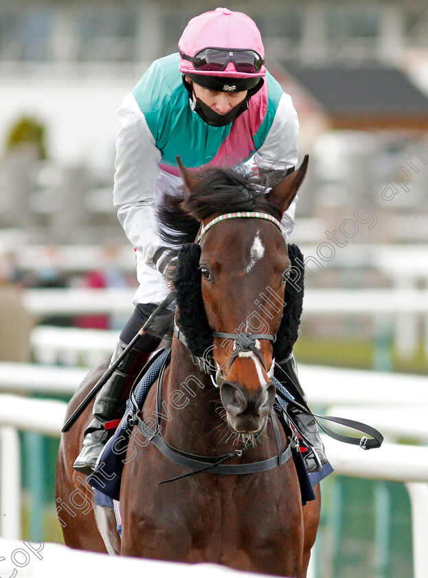 Alpha-King-0001 
 ALPHA KING (Robert Havlin)
Doncaster 28 Mar 2021 - Pic Steven Cargill / Racingfotos.com