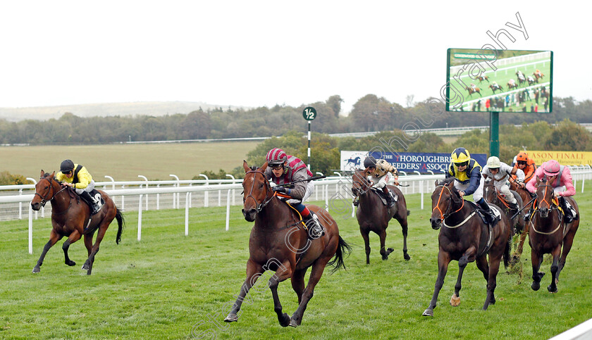 Pettochside-0001 
 PETTOCHSIDE (Toby Eley) wins The Heineken UK Apprentice Handicap
Goodwood 25 Sep 2019 - Pic Steven Cargill / Racingfotos.com