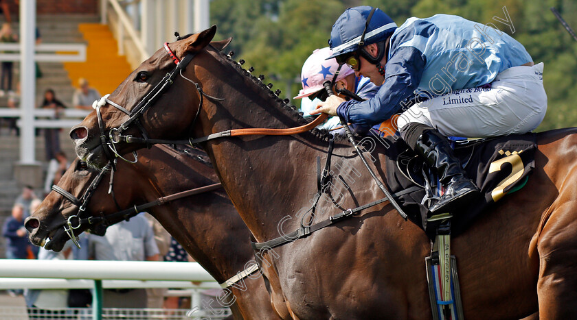 Danzeno-0003 
 DANZENO (Ray Dawson) wins The It Pays To Buy Irish EBF Conditions Stakes
Nottingham 10 Aug 2021 - Pic Steven Cargill / Racingfotos.com