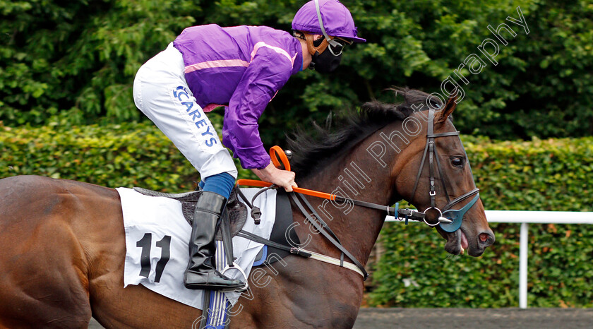 Faline-0001 
 FALINE (Joey Haynes)
Kempton 2 Jun 2021 - Pic Steven Cargill / Racingfotos.com