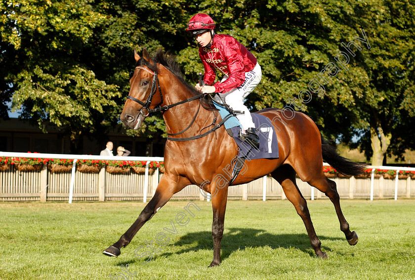 Kick-On-0001 
 KICK ON (Oisin Murphy)
Newmarket 10 Aug 2018 - Pic Steven Cargill / Racingfotos.com