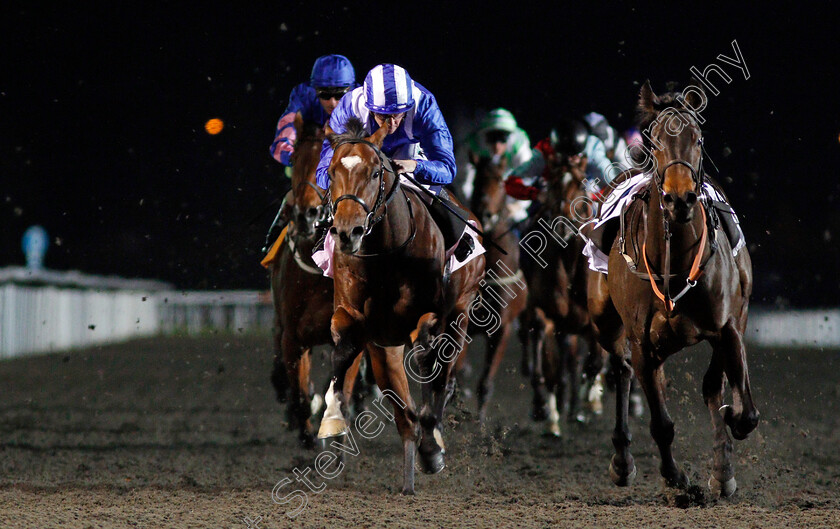 Tanseeq-0003 
 TANSEEQ (left, Jim Crowley) alongside riderless INDISCRETION, wins The 100% Profit Boost At 32Redsport.com Novice Median Auction Stakes Kempton 22 Nov 2017 - Pic Steven Cargill / Racingfotos.com