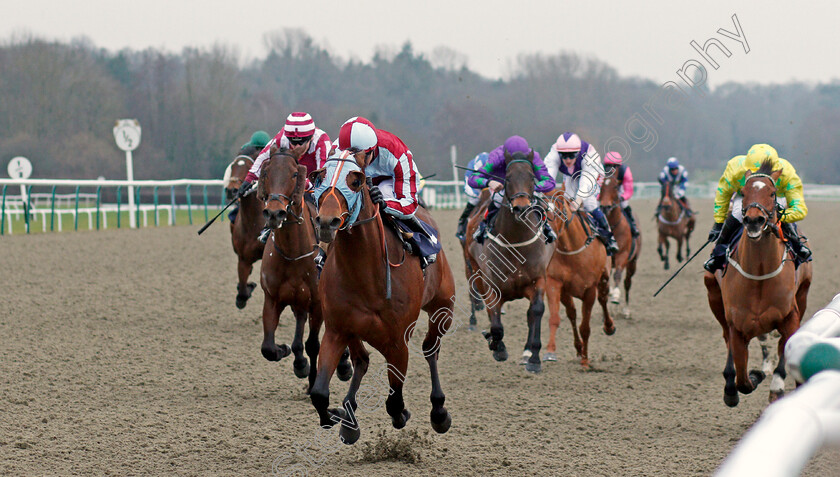 Karam-Albaari-0003 
 KARAM ALBAARI (Martin Harley) wins The Betway Handicap Div1 Lingfield 13 Jan 2018 - Pic Steven Cargill / Racingfotos.com