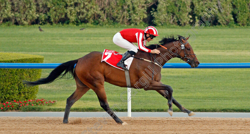 Salute-The-Soldier-0005 
 SALUTE THE SOLDIER (Adrie De Vries) wins The Burj Nahaar
Meydan 7 Mar 2020 - Pic Steven Cargill / Racingfotos.com