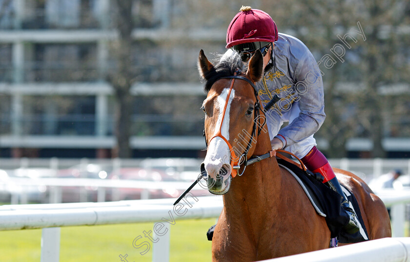 Qaysar-0001 
 QAYSAR (Frankie Dettori) winner of The Dubai Full Of Surprises Handicap Newbury 20 Apr 2018 - Pic Steven Cargill / Racingfotos.com