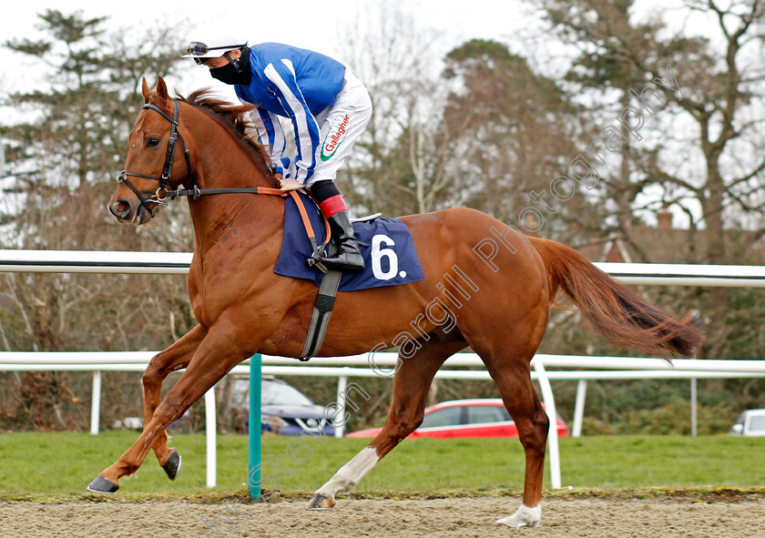 To-The-Bar-0002 
 TO THE BAR (Shane Kelly)
Lingfield 6 Mar 2021 - Pic Steven Cargill / Racingfotos.com