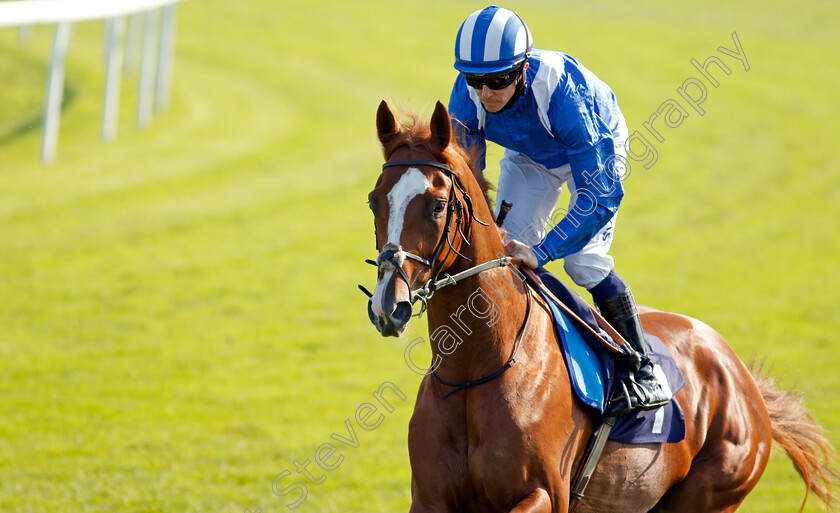 Ajrad-0001 
 AJRAD (Jim Crowley)
Yarmouth 15 Sep 2020 - Pic Steven Cargill / Racingfotos.com