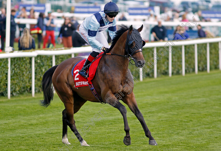 Citizen-General-0001 
 CITIZEN GENERAL (David Egan)
Doncaster 13 Sep 2024 - Pic Steven Cargill / Racingfotos.com