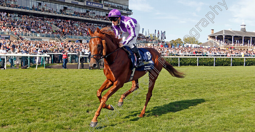 Western-Australia-0002 
 WESTERN AUSTRALIA (Michael Hussey)
Doncaster 14 Sep 2019 - Pic Steven Cargill / Racingfotos.com