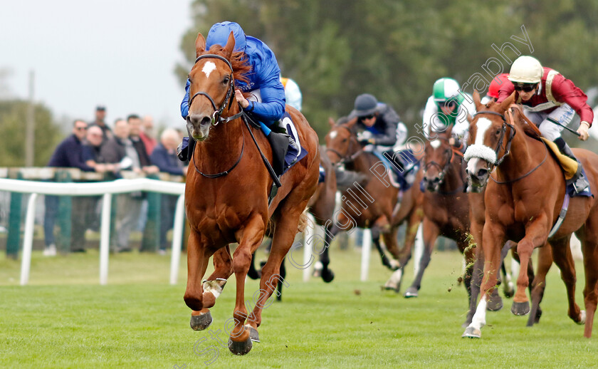 Romantic-Style-0003 
 ROMANTIC STYLE (William Buick) wins The British EBF Fillies Novice Stakes
Yarmouth 19 Sep 2023 - Pic Steven Cargill / Racingfotos.com