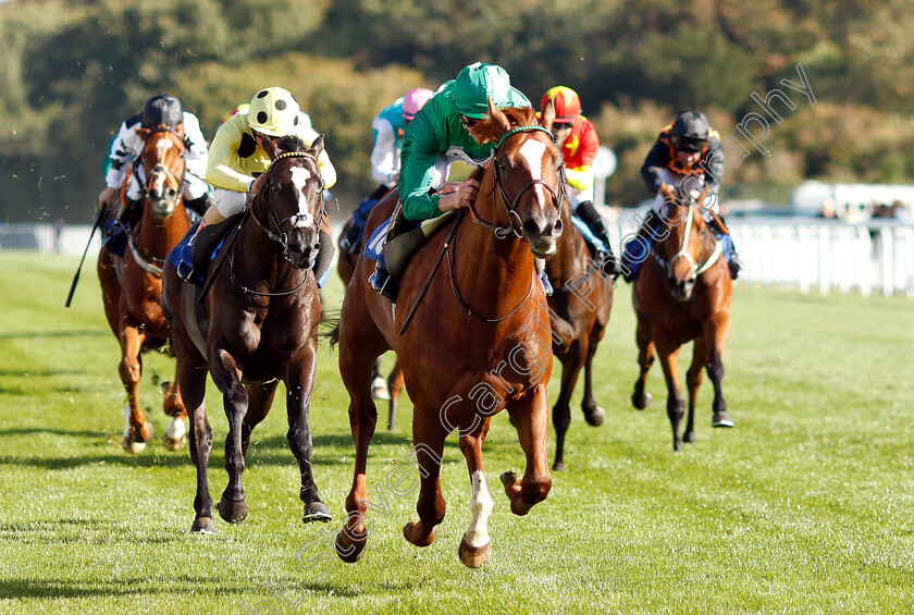 Senza-Limiti-0004 
 SENZA LIMITI (James Doyle) wins The Radcliffe & Co EBF Novice Stakes Div1
Salisbury 3 Oct 2018 - Pic Steven Cargill / Racingfotos.com