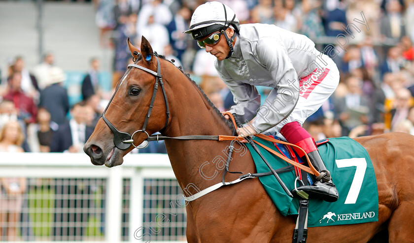 Living-In-The-Past-0001 
 LIVING IN THE PAST (Frankie Dettori)
Ascot 27 Jul 2019 - Pic Steven Cargill / Racingfotos.com